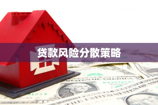 梅里斯贷款风险分散策略