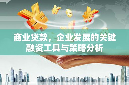 梅里斯商业贷款，企业发展的关键融资工具与策略分析