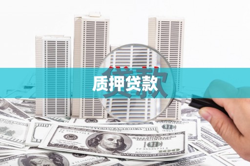 梅里斯质押贷款