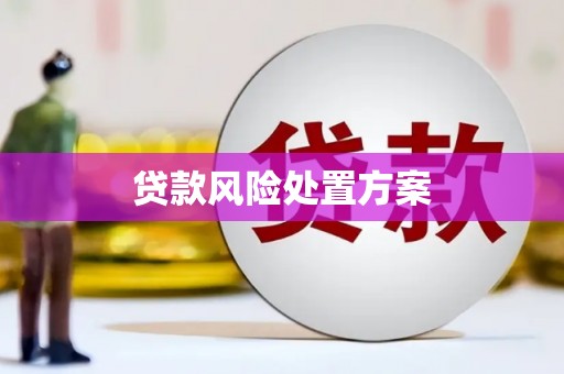 梅里斯贷款风险处置方案