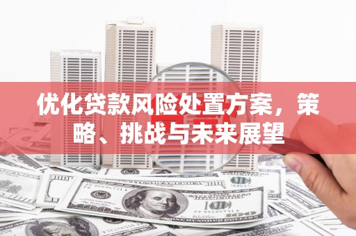 梅里斯优化贷款风险处置方案，策略、挑战与未来展望