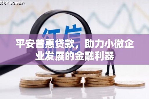 梅里斯平安普惠贷款，助力小微企业发展的金融利器