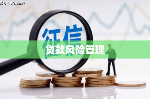 梅里斯贷款风险管理