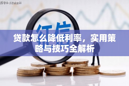 梅里斯贷款怎么降低利率，实用策略与技巧全解析