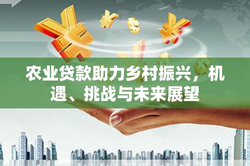 梅里斯农业贷款助力乡村振兴，机遇、挑战与未来展望