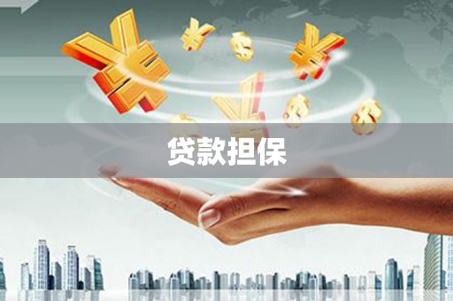 梅里斯贷款担保