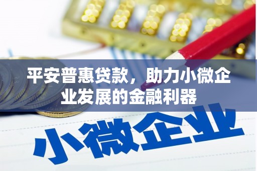 梅里斯平安普惠贷款，助力小微企业发展的金融利器