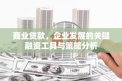 梅里斯商业贷款，企业发展的关键融资工具与策略分析