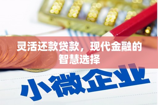 梅里斯灵活还款贷款，现代金融的智慧选择