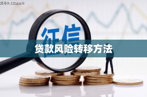 梅里斯贷款风险转移方法