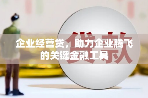 梅里斯企业经营贷，助力企业腾飞的关键金融工具