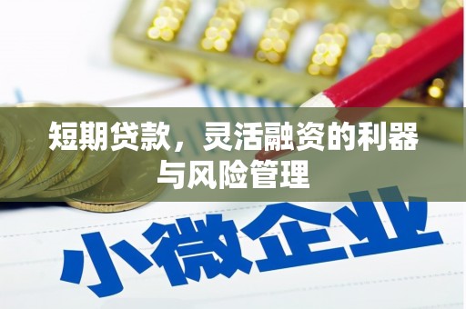 梅里斯短期贷款，灵活融资的利器与风险管理