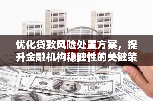 梅里斯优化贷款风险处置方案，提升金融机构稳健性的关键策略