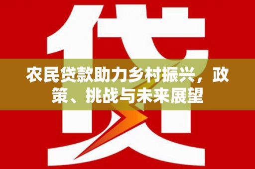 梅里斯农民贷款助力乡村振兴，政策、挑战与未来展望