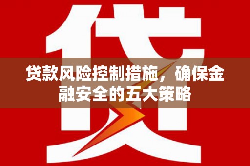 梅里斯贷款风险控制措施，确保金融安全的五大策略