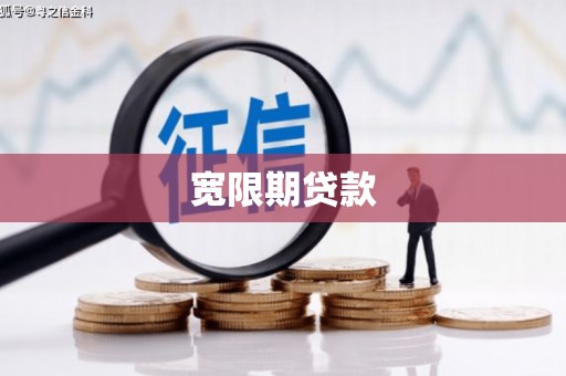 梅里斯宽限期贷款