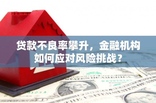 梅里斯贷款不良率攀升，金融机构如何应对风险挑战？