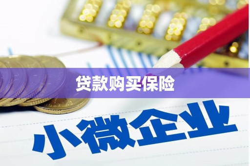 梅里斯贷款购买保险