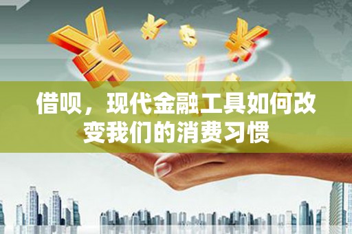 梅里斯借呗，现代金融工具如何改变我们的消费习惯