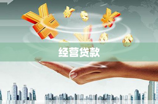 梅里斯经营贷款