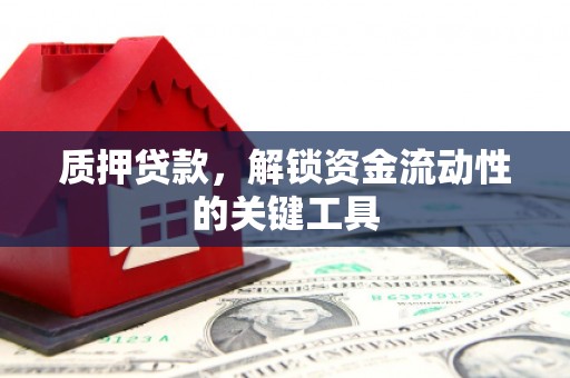 梅里斯质押贷款，解锁资金流动性的关键工具