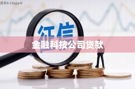 梅里斯金融科技公司贷款