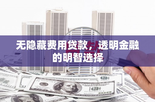 梅里斯无隐藏费用贷款，透明金融的明智选择