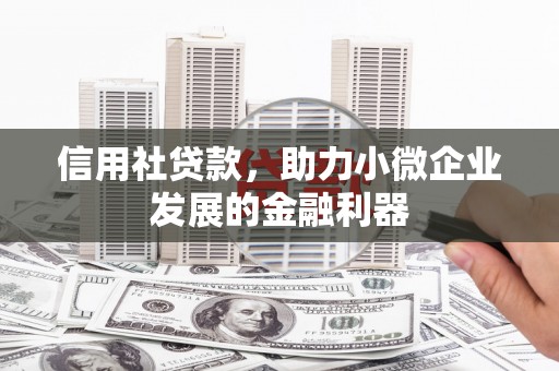梅里斯信用社贷款，助力小微企业发展的金融利器