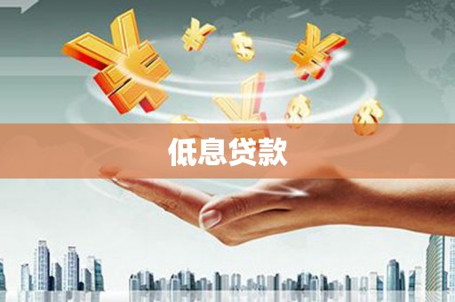 梅里斯低息贷款