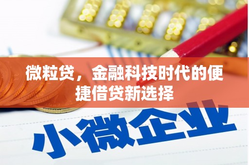 梅里斯微粒贷，金融科技时代的便捷借贷新选择