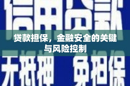梅里斯贷款担保，金融安全的关键与风险控制