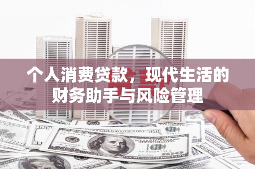 梅里斯个人消费贷款，现代生活的财务助手与风险管理