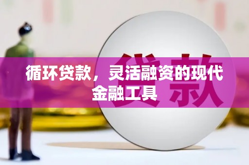 梅里斯循环贷款，灵活融资的现代金融工具