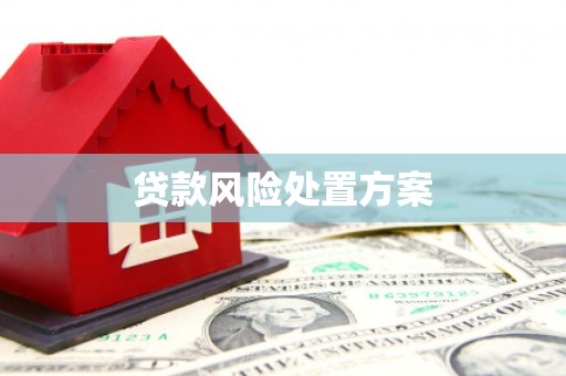 梅里斯贷款风险处置方案