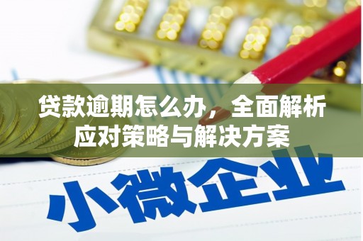 梅里斯贷款逾期怎么办，全面解析应对策略与解决方案